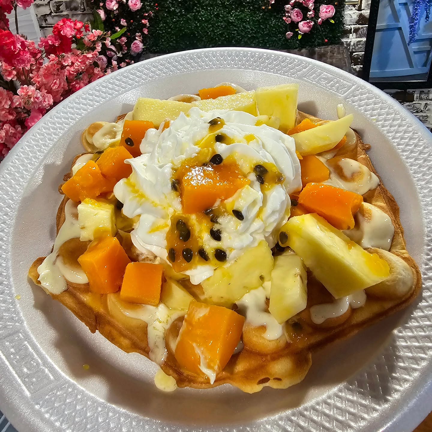 food photos